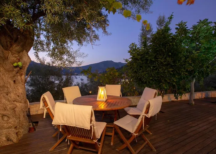 아파트 Renovated Liana's Yénion